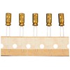 Electron Reserves ER-MS-ALC-NCFG1H100MDDx5 High Grade Audio Electrolytic Capacitors FG Series