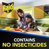 Raid Pantry Moth Traps for Food Storage Areas, 2 Pack,