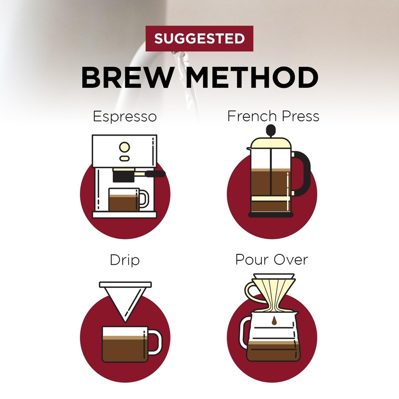 Fonte Coffee Roaster - Drip Coffee - Medium-Dark Fresh Roast