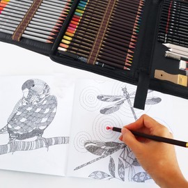 72 Coloured Pencils Set, Professional Art Drawing Pencil for Adults and Children's Artist Supplies, Includes 12 with Sketching Pencils and Accessories, Wooden Colouring Pencils, for Colouring Painting