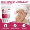 Folic Acid Tablets 400 mcg - 100 Vegan Vitamin B9