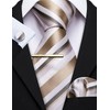 Barry.Wang Men's Silk Business Ties with Handkerchief, Cufflink Stripes Plaid