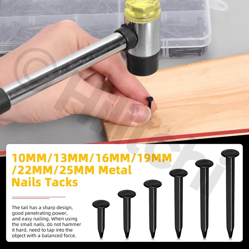Hilitchi 1200PCS 6 Sizes Black Carbon Steel Non-Slip Shoe Nails