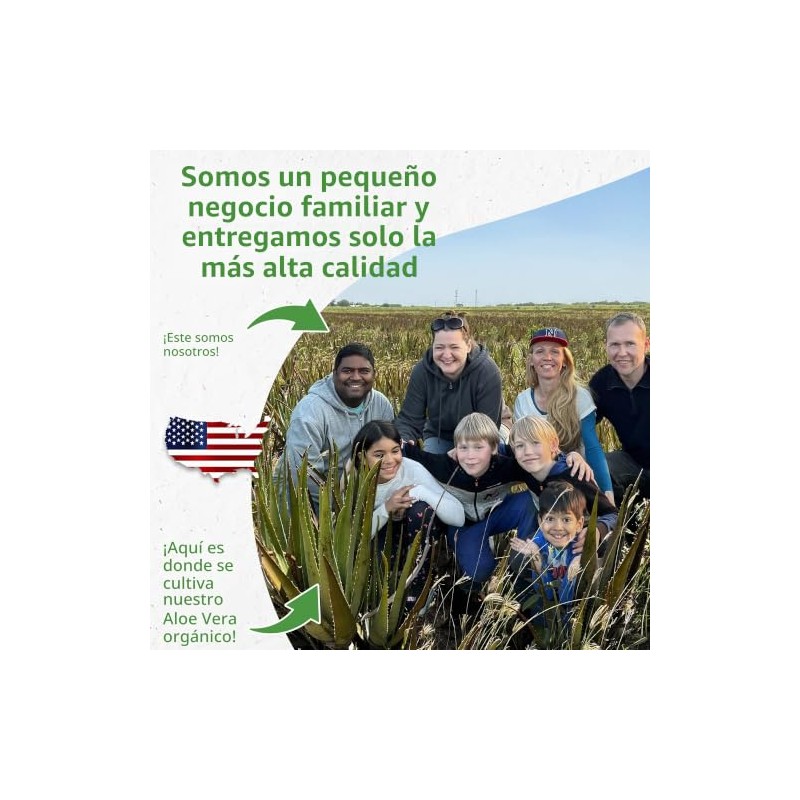 Seven Minerals - Gel de Aloe Vera - 99% Orgánico