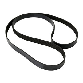Continental Elite 4070755 Poly-V/Serpentine Belt