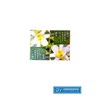 Happy Bath Dubore Lily Soap 100g x 4 pieces / 두보레 백합 비누 100g X 4개
