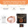 Ariceleo 2 Pack 16.4ft Battery Operated String Lights with Timer,