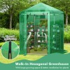Hexagonal Walk-In Garden Greenhouse with PE Cover and Metal Frame