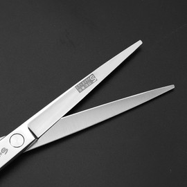 Sharonds 6 Inch Professional Hair Scissors and Thinning Scissors for Salon Hairdressers or Home Use (6 Inch – 2 Pieces-A)