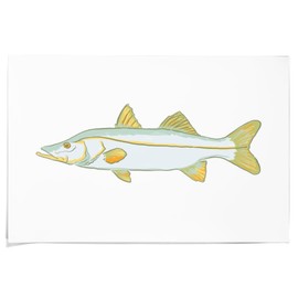 Lantern Press 36x54 Inch Giclee Print, Snook Fish, Icon