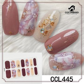 COLORBIRD Nail Seal, Autumn and Winter B, Just Paste Manicure, Cute, Flowers, Sheer, Foil, Pearl Parts (CCL445, CCL446, CCL447, CCL448)