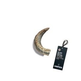 Canophera Premium Medium Dog Chew: 100% Natural Sheep Horn for Dental Health & Durability. Odor-Free