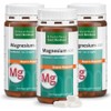 Sankt Bernhard Magnesium 400 supra 120 capsules x 3 cans, 3, 120 tablets / 상트베른하르트 마그네슘 400 supra 120캡슐x3통, 3개, 120정