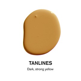 BACKDROP | Premium Exterior Paint | Standard Semi Matte, Low Sheen Finish | Self-Priming, Low VOC, Green Wise Certified | TANLINES - Dark, Strong Yellow | 0.5 Gallon