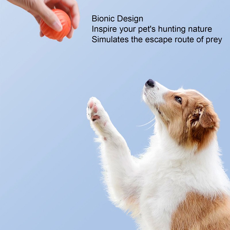 Smart Interactive Cat Toy Ball Bite Resistant Reduce Boredom Cute