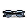 LUXSTAR Sunglasses, Polarized Dimming Lens, Men's, Women's, Smoke Color Lens,