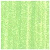 ターナー色彩(Turner Color) アクリルガッシュ カラーパール ライム AG020411 20ml(6号)