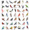 BEATRI Bird Stickers 50Pcs Vinyl Waterproof Bird Stickers for Water