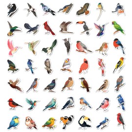 BEATRI Bird Stickers 50Pcs Vinyl Waterproof Bird Stickers for Water Bottles, Laptop, Notebook, Scrapbook, Luggage, Cell Phone, Skateboard, Helmet