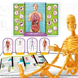 Lisciani Games I'm in Genius Science Pocket Discover the Human Body, 100224