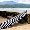 PAMGEA - Funda de calcetín para tabla de surf y