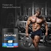 Bandini® Creapure® Creatine Monohydrate | 3000 mg Ultra Pure Micronised
