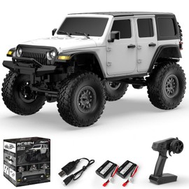 RACENT 1:24 4WD Off-Road RC Car with Metal Body and High-Quality Motor
