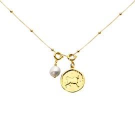 Dlismno Taurus 18K Gold Plated Medallion Pendant Necklace for Women, 12 zodiac signs, Gift for Wife, Mom, Daughter, Friend, Gift for Birthday and Valentine's Day, 14~16 In