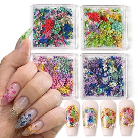 SILPECWEE 4 Boxes Dried Flowers for Nails Real Nail Flowers 3D Dried Flowers Nail Stickers Decals Nail Decor Manicure Design Nail Art Flower Decorations for Makeup DIY Craft Accessories