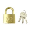 Nichi Seisakusho 2045D50KA 2045D Cylinder Padlock, 2.0 inches (50 mm),