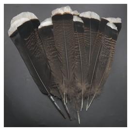 Turkey Feathers ZZHXSM 10pcs Natural Turkey Feathers Clothing, Hats, Holiday Decoration, 10-12 Inches/25-30cm Turkey Tail Feathers