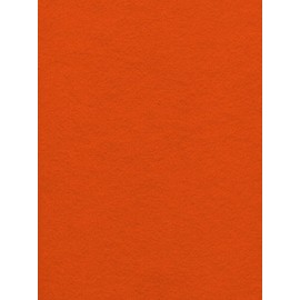 12-Piece Kunin Eco-fi Friendlyfelt-Stiffened, 9-Inch by 12-Inch, Orange