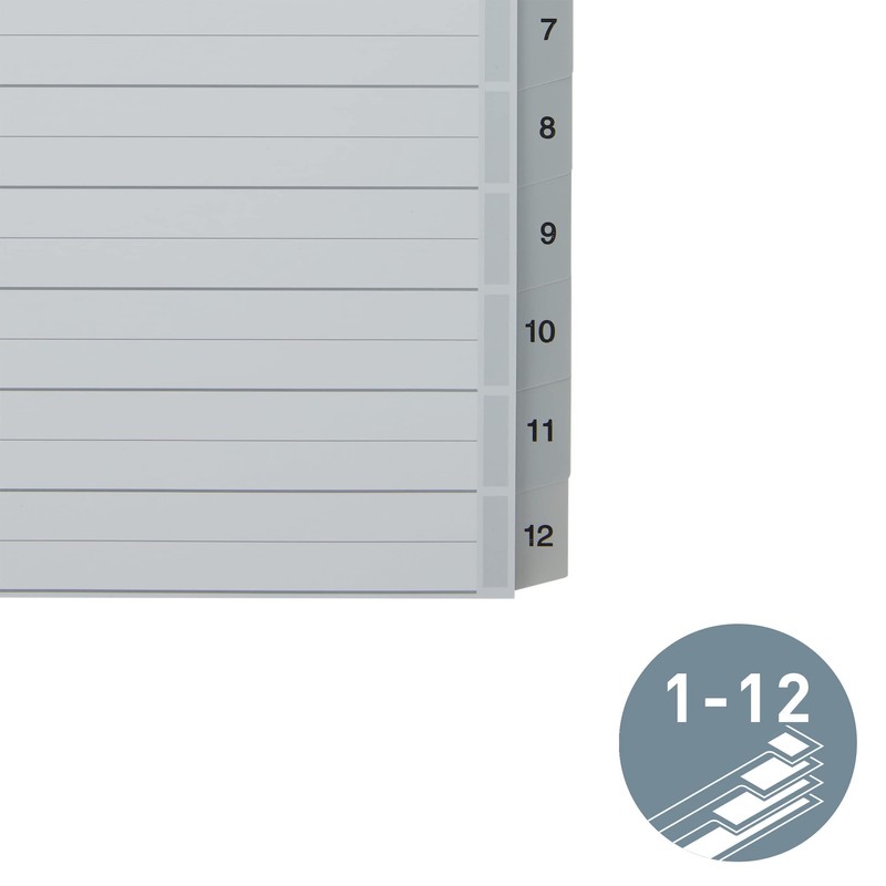Leitz Plastic Index (1-12, A4, PP, 12 Sheets), Grey