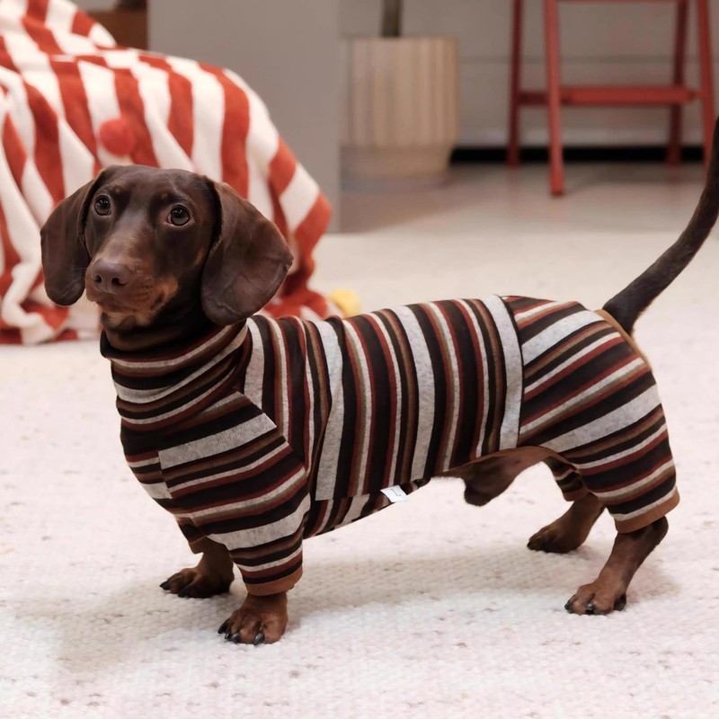 Whalemire Dachshund Lightweight Striped Four-Leg Dog Jumpsuit, Soft Breathable Stretch