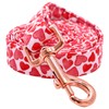 Lionheart glory Valentine's Day Strong Dog Leash, Spring Durable Dog