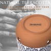 Okavango Ceramic Garlic Keeper - garlic keepers - garlic storage