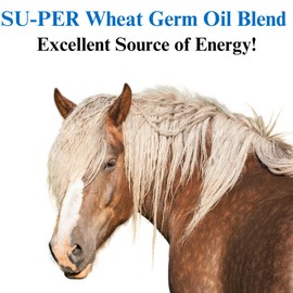 SU-PER Wheat Germ Oil Blend for Horses - Supports Energy, Endurance, Stamina, Healthy Skin and Coat - Essential Fatty Acids, Vitamins and Minerals - 1 Gallon + Pump, 4 Month Supply