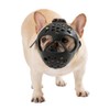 Short Snout Dog Muzzle Shih Tzu Muzzles Soft French Bull