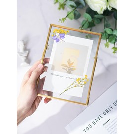 Glass Pressed Flower Frame Handmade, Floating Picture Frames for Pressed Flowers, Tabletop Artwork Photo Frames, Brass Desk Picture Frame for Home Office Plant Specimen