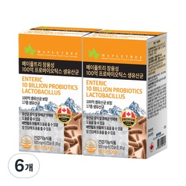 Maple Tree Enteric Coating 10 Billion Probiotics Live Lactobacillus, 6, 60 Tablets / 메이플트리 장용성 100억 프로바이오틱스 생유산균, 6개, 60정