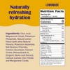Ultima Replenisher Daily Electrolyte Powder – Lemonade, 20 Stickpacks –