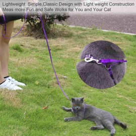 AMAGOOD 6 FT Cat/Dog Leash, Strong and Durable Traditional Style Leash with Easy to Use Collar Hook,Cat/Dog Lead Great for Dog/Cat(Purple,3/8" x 6 Feet)