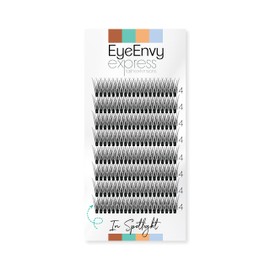 Individual Cluster Lashes In Spotlight D curl 14mm Long Faux Mink Wispy EyeEnvy Express Lash Extensions