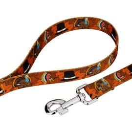 Country Brook Petz - Thanksgiving Tradition Dog Leash - Awesome Autumn Collection Featuring Designs You Will Fall for (4 Foot, 1/2 Inch Wide)