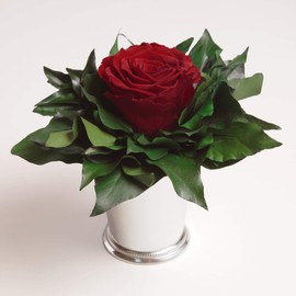ROSEMARIE SCHULZ Heidelberg Infinity Rose in Silver-Coloured Cup, 1 Eternal Rose Preserved Bouquet, Rose Box, Flower Box Long Lasting (Burgundy, 1 Rose)