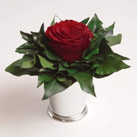 ROSEMARIE SCHULZ Heidelberg Infinity Rose in Silver-Coloured Cup, 1 Eternal Rose Preserved Bouquet, Rose Box, Flower Box Long Lasting (Burgundy, 1 Rose)