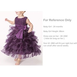 Jup'Elle Baby Girl Party Dresses, Little Girl Wedding Birthday Christmas Dress 2 4 Months