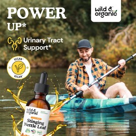 Wild & Organic Stinging Nettle Leaf Extract Drops - Urinary Tract Support - Liquid Stinging Nettle Supplement - 2-Month Supply - Urtica Dioica Nettle Tincture - No Alcohol & Additives - 2 fl oz