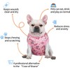 CuteBone Skulls SSF02M-DE Dog Surgery Recovery Suit Cat Surgical One-Piece