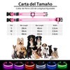 PcEoTllar Light up Dog Collar for Night Walking - LED